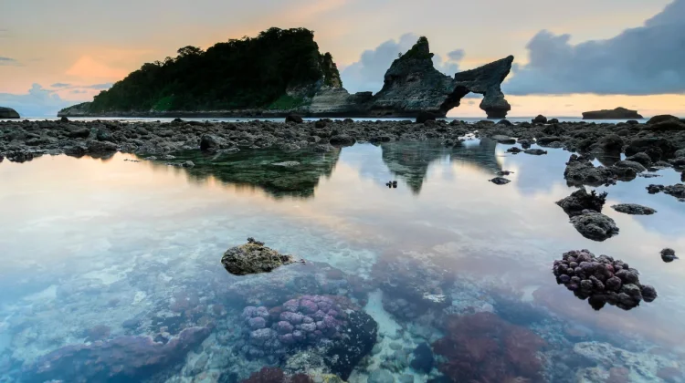 Laut Makin Hangat, Perubahan Iklim Ancam Terumbu Karang