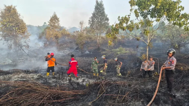 Karhutla Lahan Gambut PPU Dipadamkan Kurang dari Satu Jam