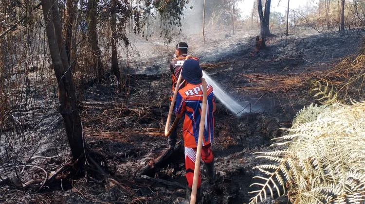 Karhutla Gambut Gunung Seteleng Meluas Capai 4,13 Hektare