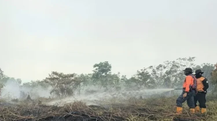 Musim Kemarau, Karhutla Samarinda Catat 35 Kejadian