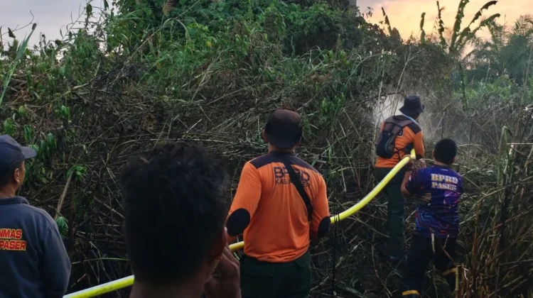 Setengah Hektare Lahan Terbakar di Tanah Grogot