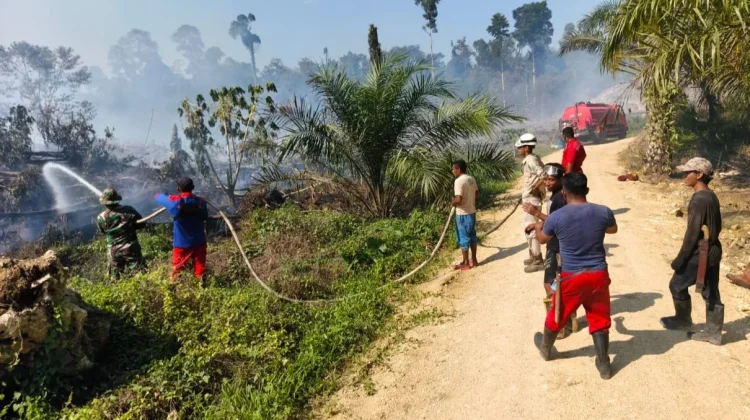 Karhutla Landa Sambaliung, Lima Hektare Lahan di Berau Terbakar