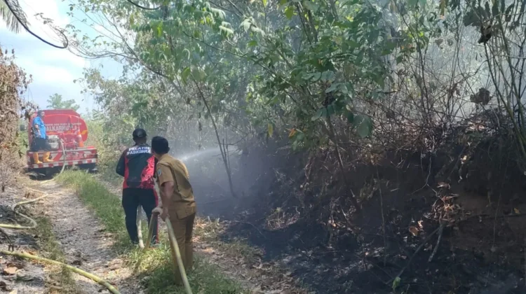 Karhutla Hanguskan Satu Hektare Semak Belukar di Muara Komam