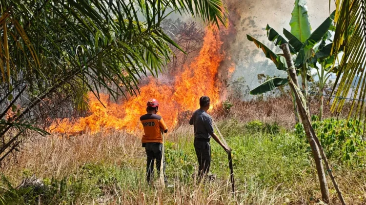 Empat Karhutla Melanda Tanah Grogot Paser