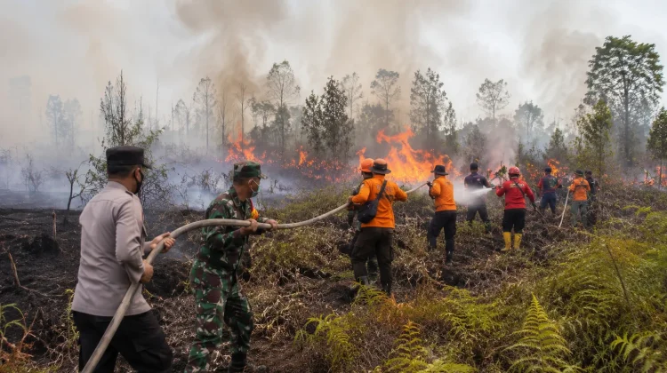 Karhutla Mengintai Kukar, Belasan Kecamatan Terpapar Titik Api