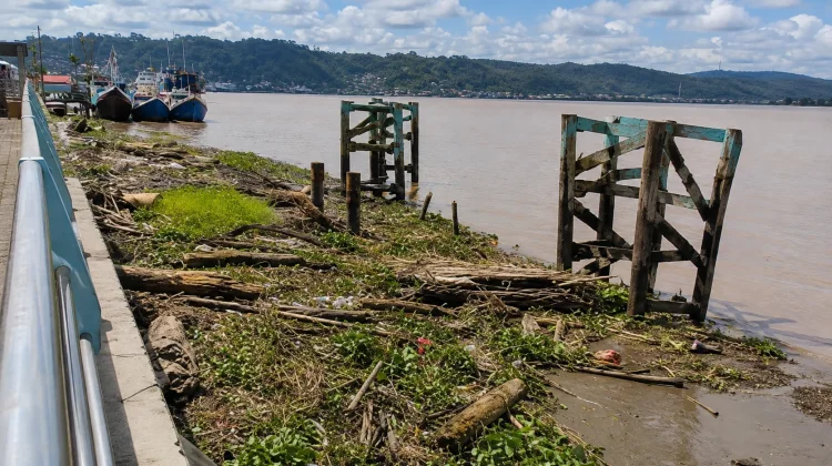 Tumpukan Sampah Ganggu Muara Teras, DLH Bertindak