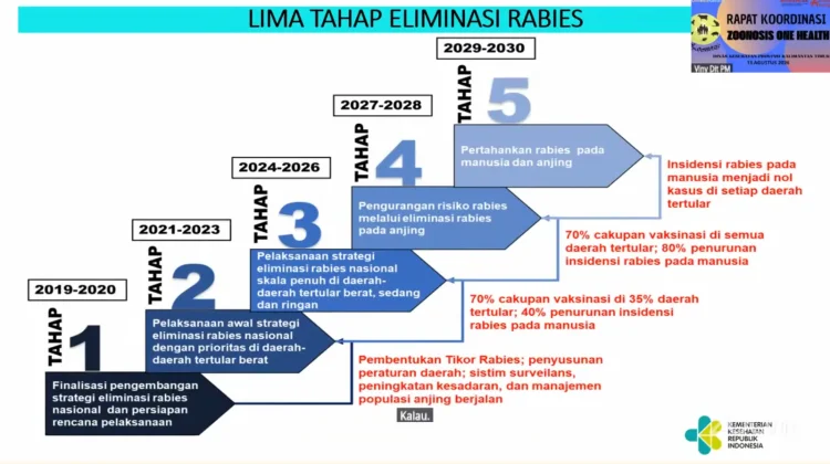 Rabies Mengintai, Kemenkes Genjot Target Indonesia Bebas Rabies 2030