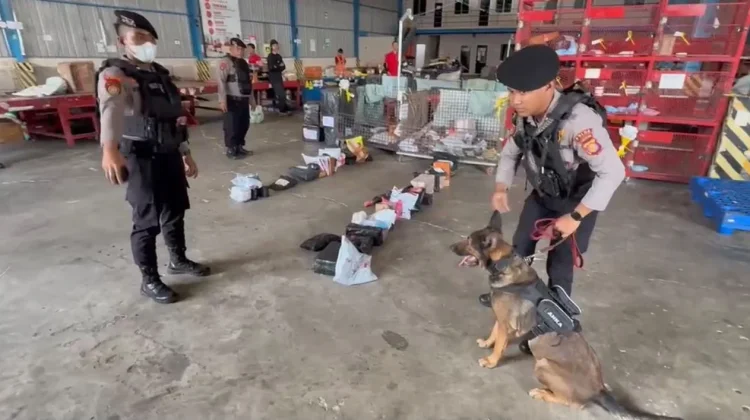 Polda Kaltim dan Bea Cukai Bekuk Pengedar Ganja lewat Control Delivery