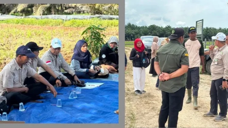 Perkuat PM-AAS, BRMP Kaltim Tinjau Kesiapan Lahan di Penajam Paser Utara