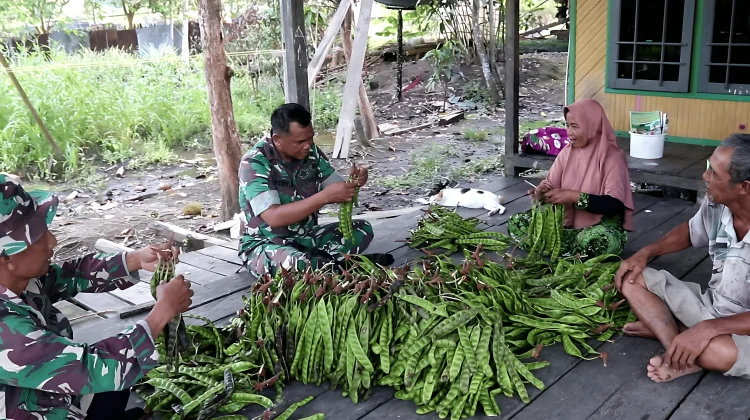 Dari Babinsa hingga Turun ke Sawah, TNI Korem 091/ASN Dorong Petani Kaltim Sejahtera