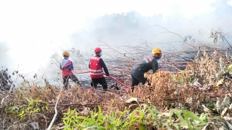 Brimob Kaltim Bersama Instansi Terkait Padamkan Kebakaran Lahan di Batu Ampar