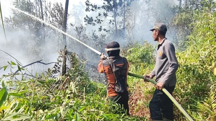 Tiga Titik Karhutla Paser Berhasil Ditangani Tim Gabungan