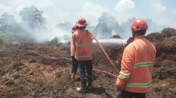 Kebakaran Lahan Gambut di Petung Capai 1,5 Hektare