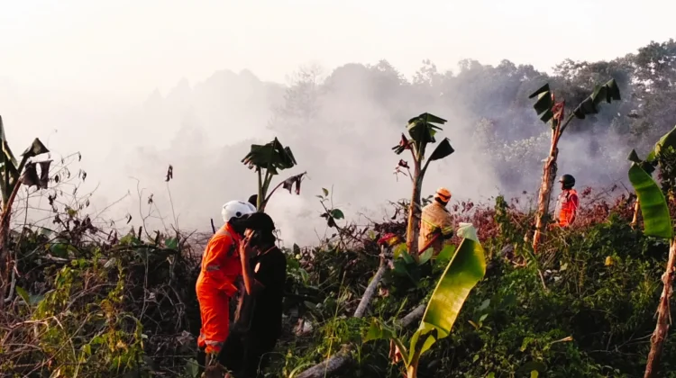 Kebakaran Lahan Dua Hektare Terjadi di Balikpapan Utara