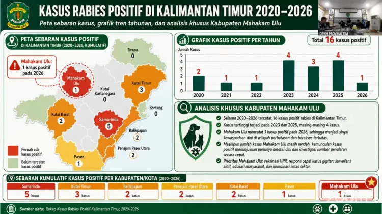 Kasus Rabies Kaltim Capai 16 Kasus Positif dalam Enam Tahun