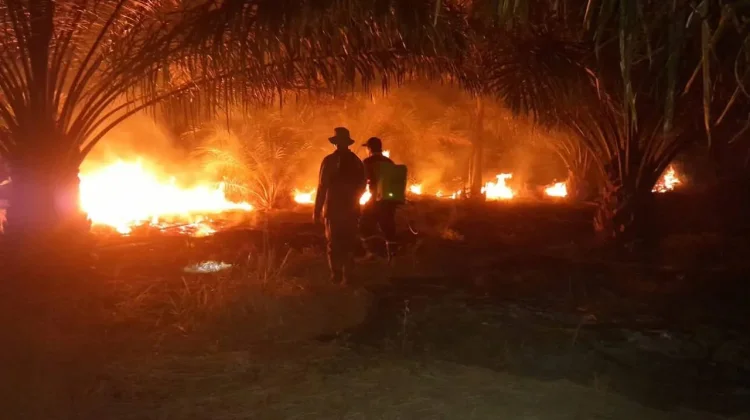 Paser Status Siaga Karhutla Hadapi Musim Kemarau hingga Oktober 2026