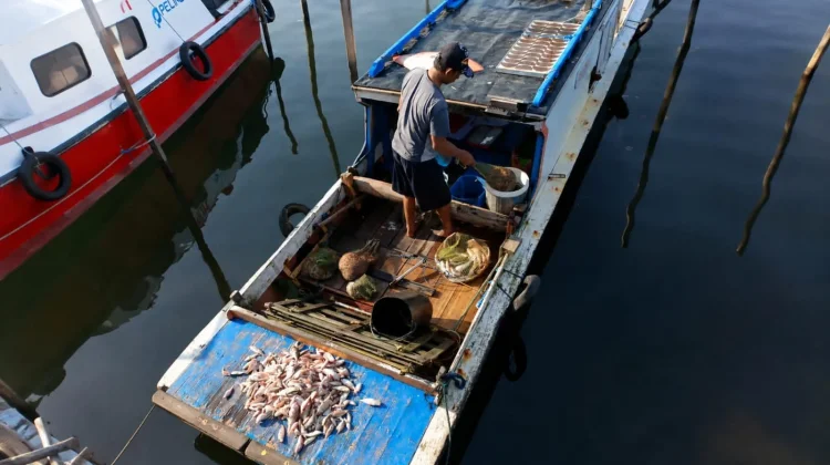 Musim Kemarau dan Ombak Besar Tekan Penghasilan Nelayan Bontang