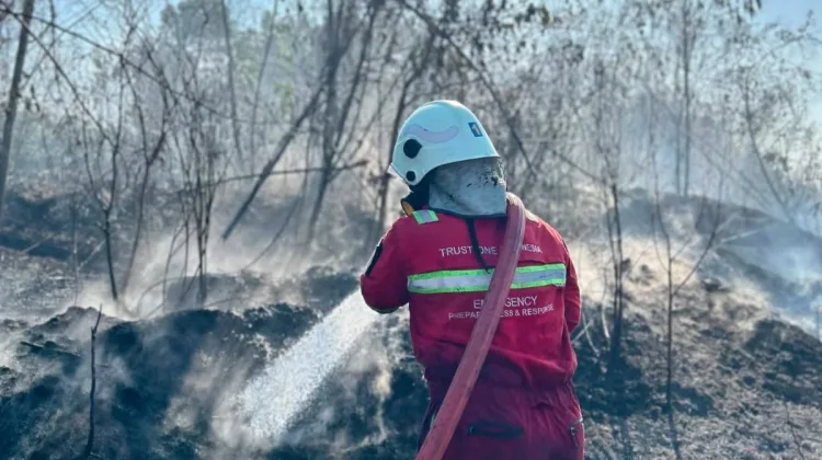 Karhutla Hanguskan Dua Hektare Lahan di Sangasanga Kabupaten Kutai Kartanegara