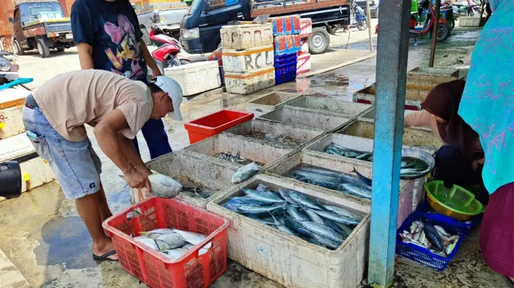 Kecamatan Talisayan, Sentra Perikanan Laut dengan Pesona Kampung Nelayan di Berau