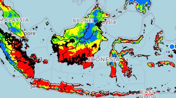 El Nino Menguat, BMKG Balikpapan Ingatkan Risiko Kekeringan dan Karhutla di Kaltim
