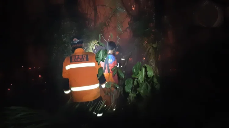 Karhutla di Pendingin Kukar Capai 140 Hektare