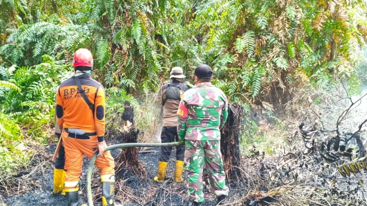 Empat Kebakaran Lahan Melanda Paser, Tim Gabungan Bergerak Cepat