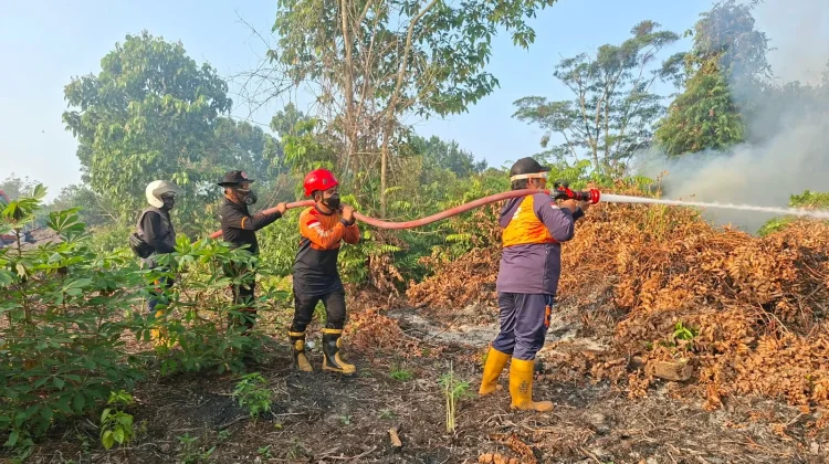 Karhutla Hanguskan Sekitar Satu Hektare Lahan di Sangatta Utara