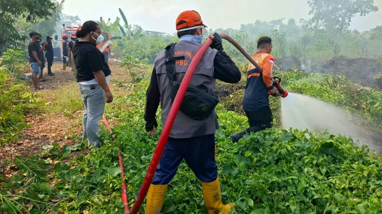 Karhutla Sangatta Utara Terkendala Akses dan Kabut Asap