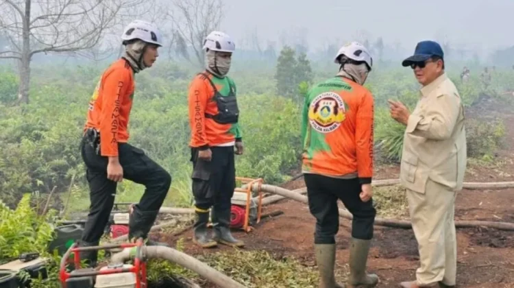 Prabowo Tekankan Penindakan Hukum terhadap Pelaku Karhutla di Kalimantan
