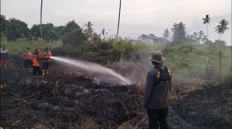 Status Awas, RT 05 Tanah Grogot Tegas Terhadap Oknum Pembakar Lahan
