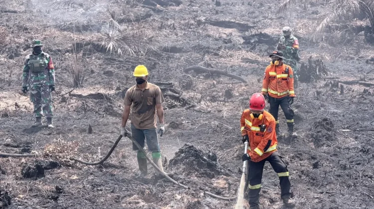 Suhu Capai 39 Derajat, Karhutla Muara Muntai Masih Terus Ditangani