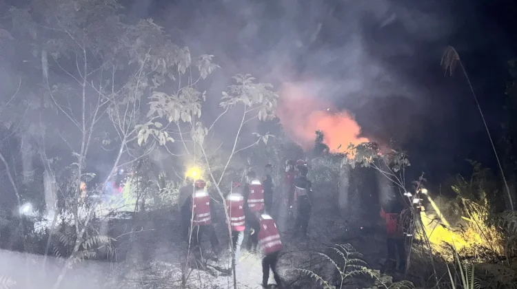 Aksi Tanggap Darurat, Brimob Kaltim Tuntaskan Pendinginan Lahan