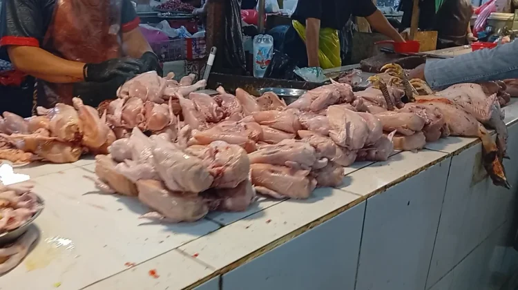 Kemendagri Minta TPID Telusuri Permainan Harga Daging Ayam Ras