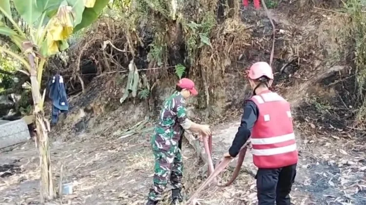 Aksi Sigap Brimob Jinakkan Karhutla di Gunung Sari Ulu Balikpapan
