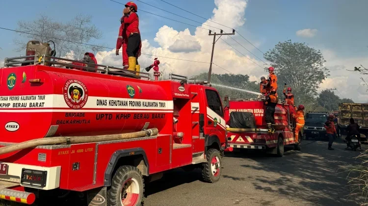 Karhutla Berau, BPBD Ungkap Kendala Sumber Air hingga BBM