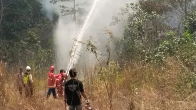Karhutla Satu Hektare Terbakar di KM 10 Tenggarong-Samarinda