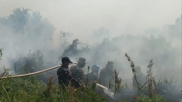 Karhutla Hanguskan Sekitar 7 Hektare Lahan di Sangatta Selatan
