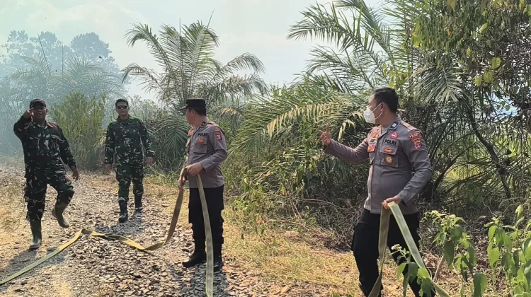 Tim Gabungan Berhasil Padamkan 4 Hektar Lahan Terbakar di Paser Blengkong