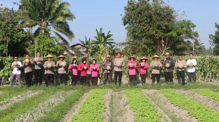 Panen Melon P2L Bhayangkari PPU Capai Sembilan Ton