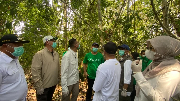 Sebelum Bertemu Orangutan, Raffi Ahmad Wajib Jalani Pemeriksaan Kesehatan