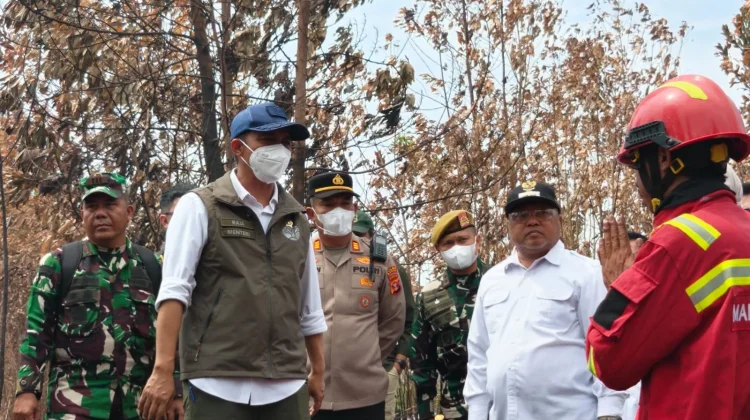 Menteri Kehutanan Tinjau Eks Karhutla di Berau