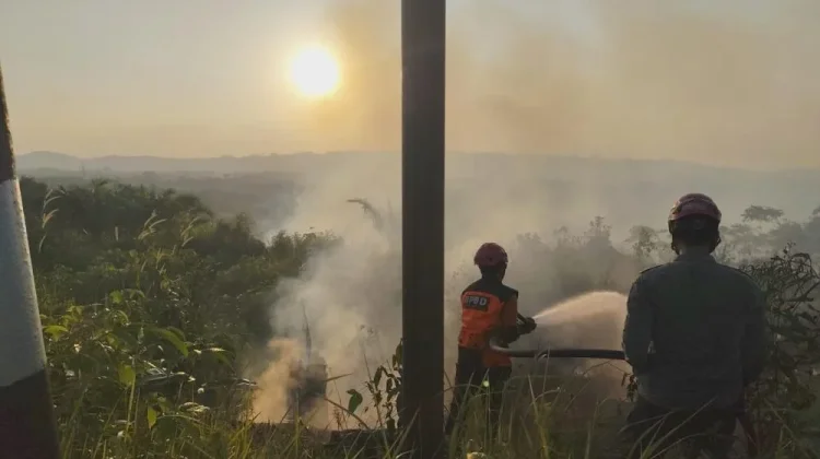 Sehari Dua Karhutla Terjadi di Bontang dan Teluk Pandan