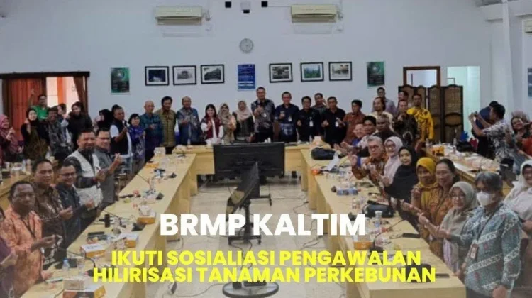 BRMP Kaltim Perkuat Pengawalan Hilirisasi Tanaman Perkebunan