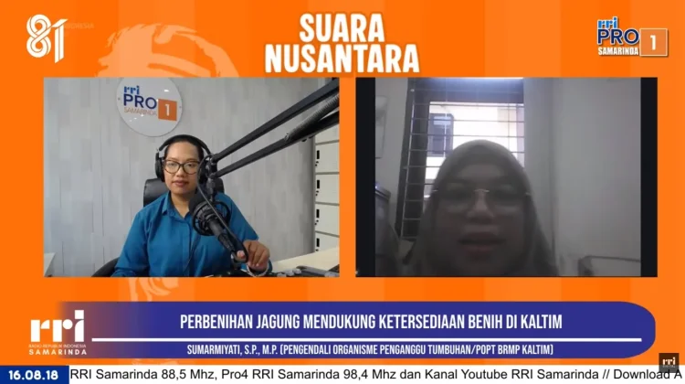 Perbenihan Jagung Diperkuat untuk Dukung Ketersediaan Benih di Kaltim
