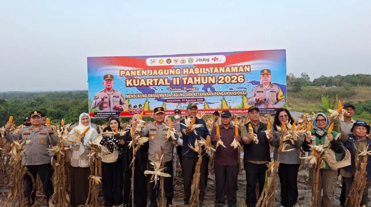Kaltim Perkuat Ketahanan Pangan lewat Panen Jagung di Kota Samarinda