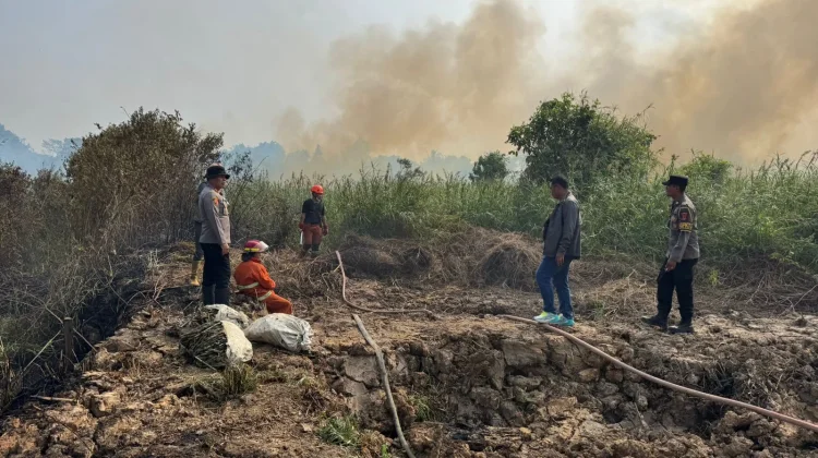 Api Hanguskan Tiga Hektare Lahan Bekas Sawah di Lempake