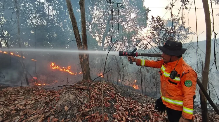 Karhutla Muara Kembang Meluas, Tim Gabungan Terkendala Air