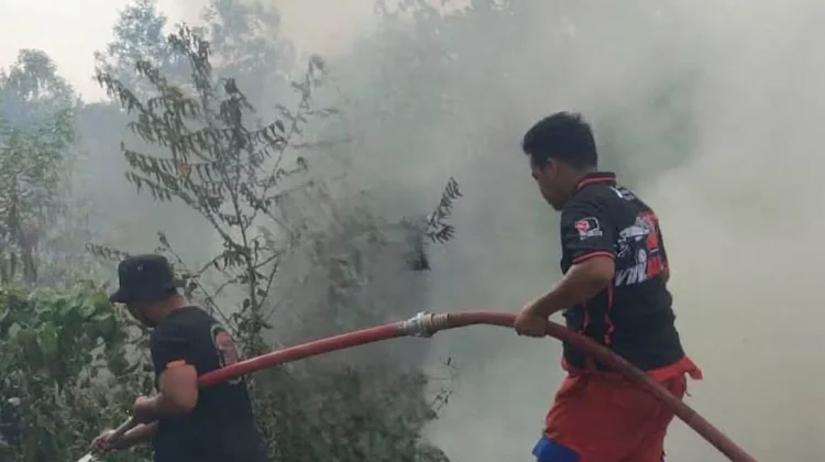 Kebakaran Lahan Dua Hektare Terjadi di Manggar Balikpapan