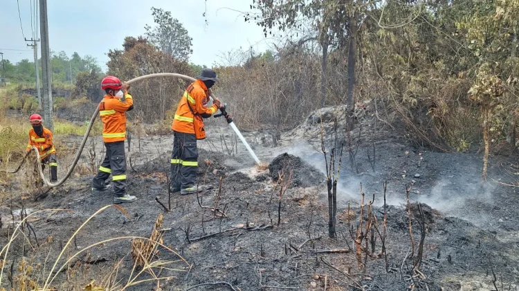 Karhutla Anggana Hari Kedua, Area Terbakar Capai 8 Hektare