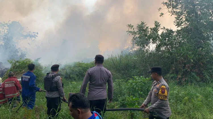 Api Bakar Tiga Hektare Lahan Gambut di Palaran Samarinda, Polisi Bergerak Cepat